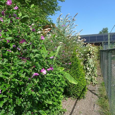 B&B De Kleine Wijngaard Roggel Buitenkant foto