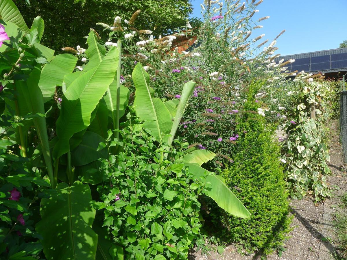 B&B De Kleine Wijngaard Roggel Buitenkant foto