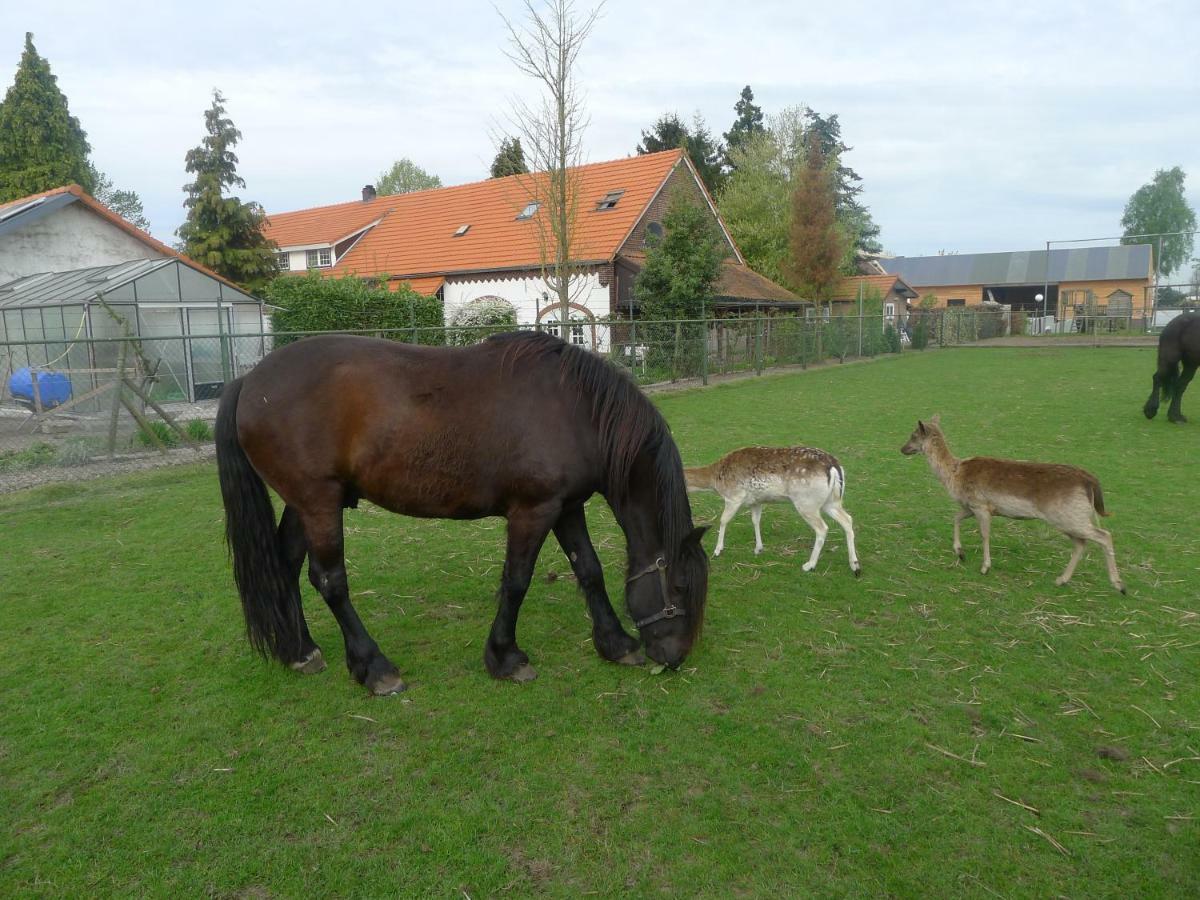 B&B De Kleine Wijngaard Roggel Buitenkant foto